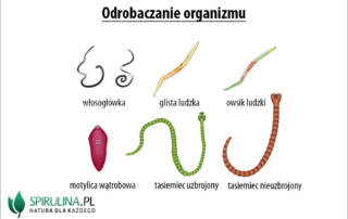 Odrobaczanie organizmu