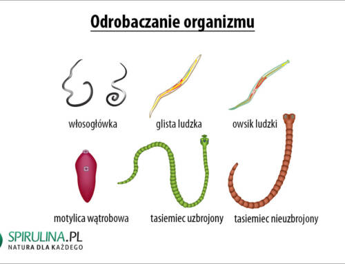 Odrobaczanie organizmu