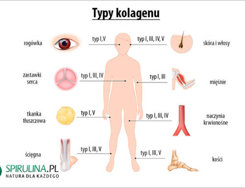 Typy kolagenu