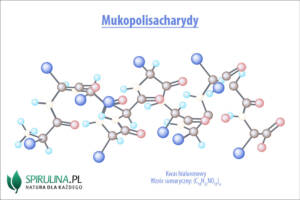 Mukopolisacharydy