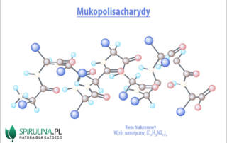 Mukopolisacharydy