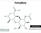 Proteoglikany