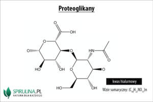 Proteoglikany