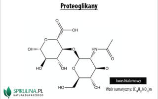 Proteoglikany