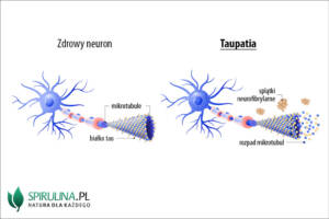 Taupatia