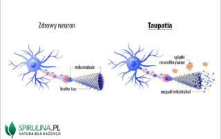 Taupatia