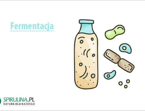 Fermentacja