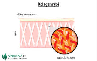 Kolagen rybi