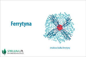 Ferrytyna