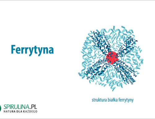Ferrytyna