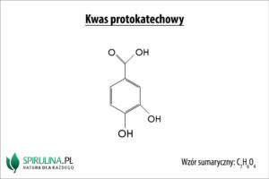 Kwasy fenolowe (kwas protokatechowy)