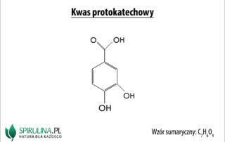 Kwasy fenolowe (kwas protokatechowy)