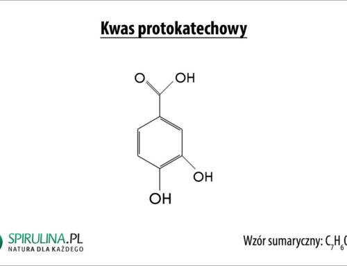 Kwasy fenolowe