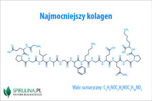 Najmocniejszy kolagen