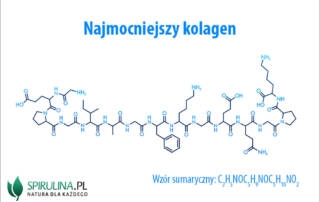 Najmocniejszy kolagen