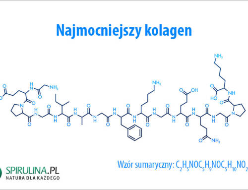 Najmocniejszy kolagen