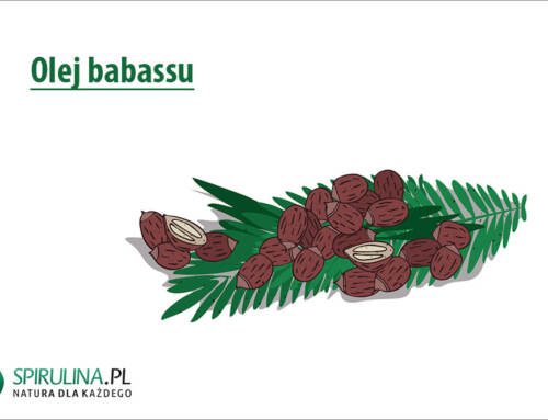 Olej babassu