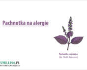 Pachnotka na alergie