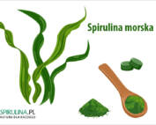 Spirulina morska