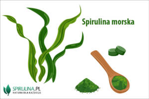 Spirulina morska