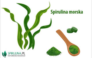 Spirulina morska