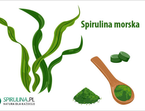 Spirulina morska