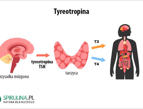 Tyreotropina