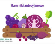 Barwniki antocyjanowe