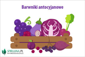 Barwniki antocyjanowe