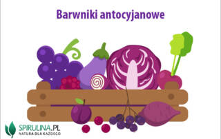 Barwniki antocyjanowe