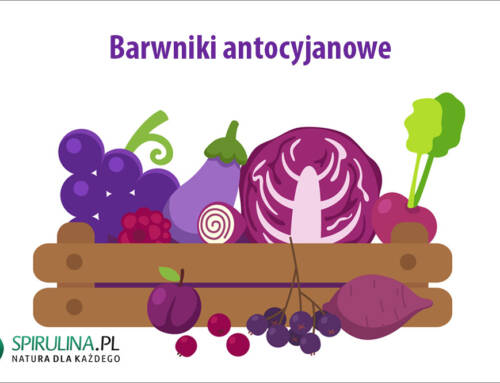 Barwniki antocyjanowe