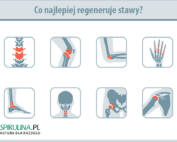 Co najlepiej regeneruje stawy?