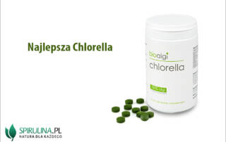 Najlepsza Chlorella