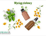 Wyciągi ziołowy