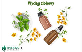 Wyciągi ziołowy