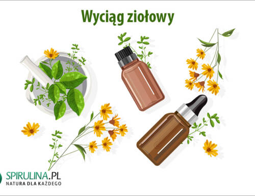 Wyciąg ziołowy