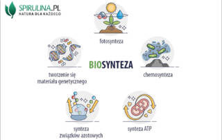 Biosynteza