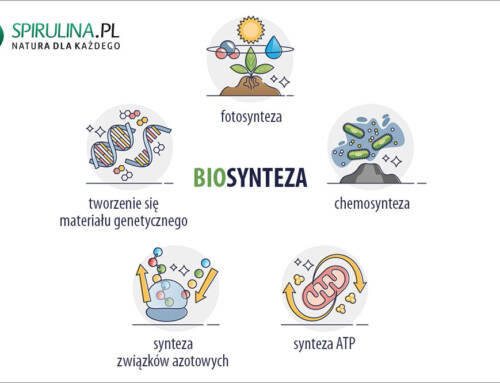 Biosynteza