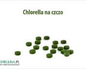 Chlorella na czczo