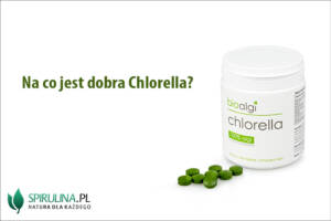 Na co jest dobra chlorella?