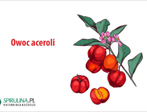 Owoc aceroli