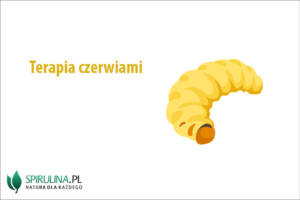 Terapia czerwiami