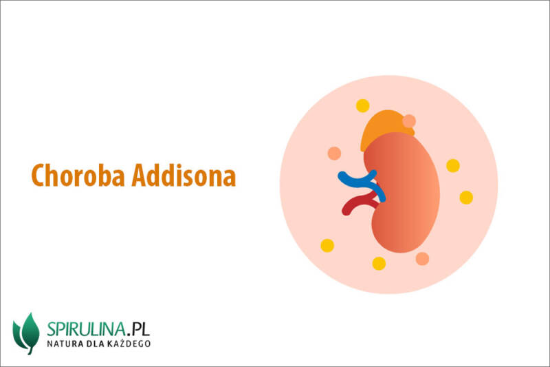 Choroba Addisona - algi Spirulina i Chlorella