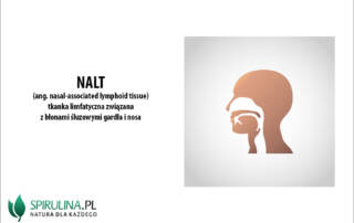 NALT