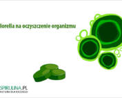 Chlorella na oczyszczenie organizmu