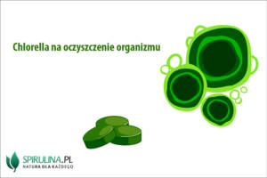 Chlorella na oczyszczenie organizmu