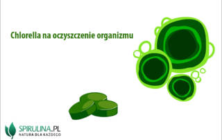 Chlorella na oczyszczenie organizmu