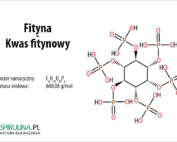 Fityna