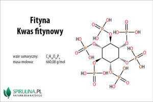 Fityna