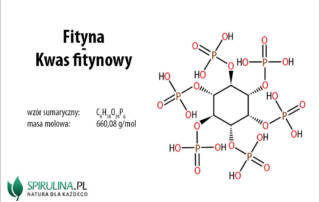Fityna